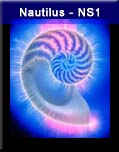 Nautilus Shell - NS1