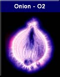 Onion - O2