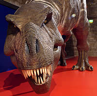 Самый  большой динозавр - выставка в  life center