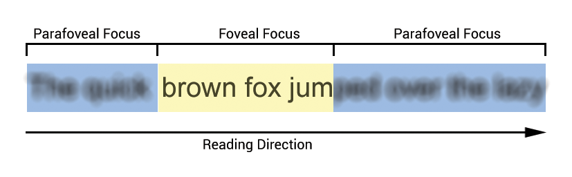 Foveal_and_Parafoveal_Focus